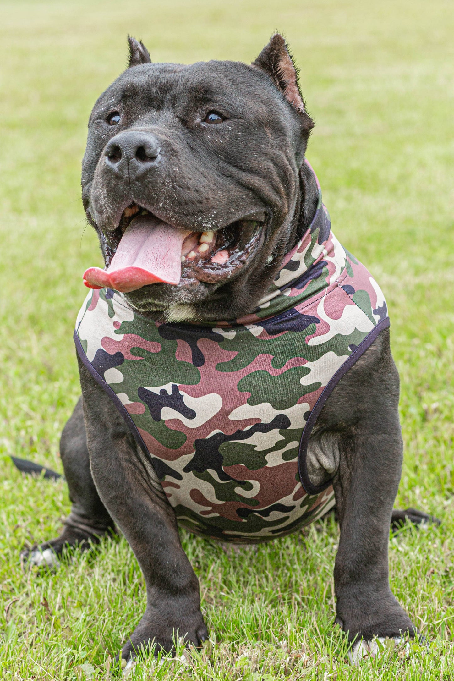 Classic Camo Dog Muscle Tee