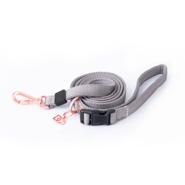 Secure-In-Place Dog Leash - Steel