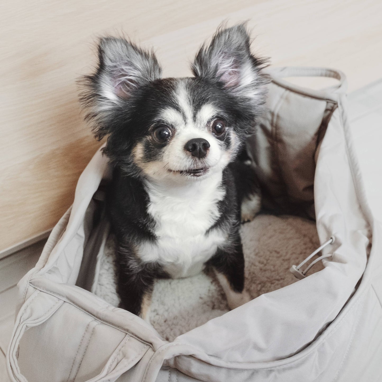 Olla Petite Pet Carrycot Dog Carrier - Koala