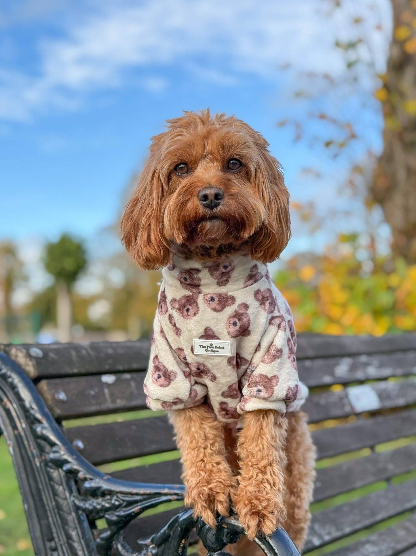 Little Bear Cub Snuggle Fleece
