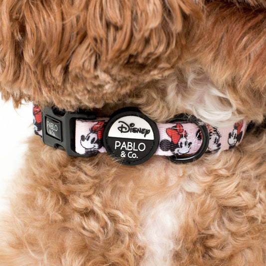 Collar para perro con Minnie Mouse y flores