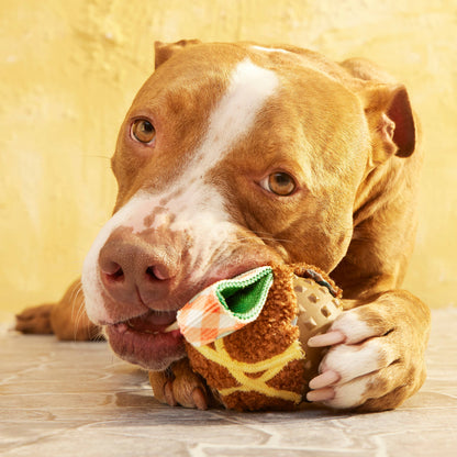 Super Chewer A Squeaky Meat-A-Ball Dog Chew Toy M