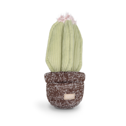 Juguete para perros con forma de cactus