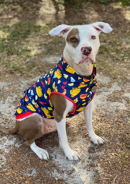 Camiseta musculosa para perro "Fiesta como una estrella de guacamole"