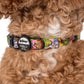 Dr. Seuss' Who-Ville - Dog Collar