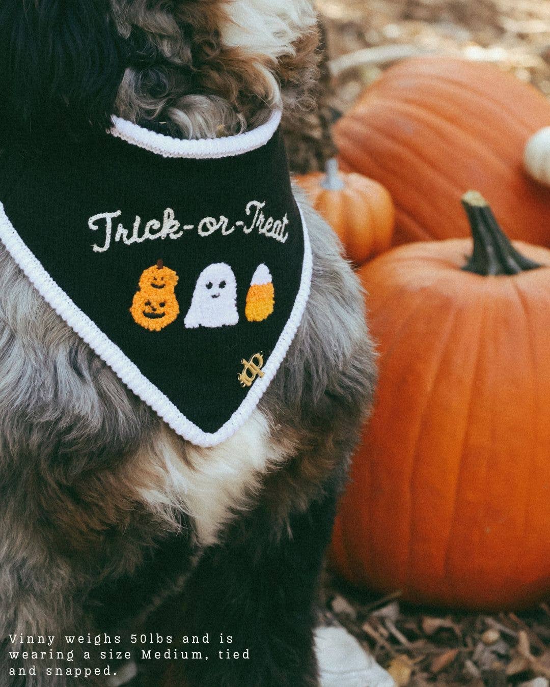 Trick or Treat Knit Bandana