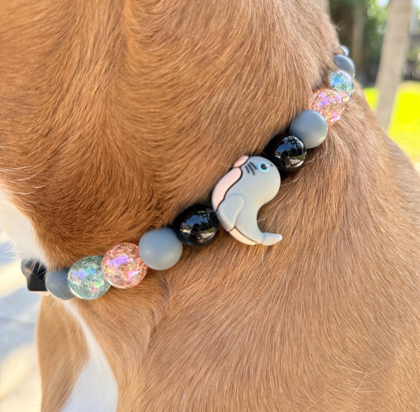 Certified Land Seal Beaded Dog Collar