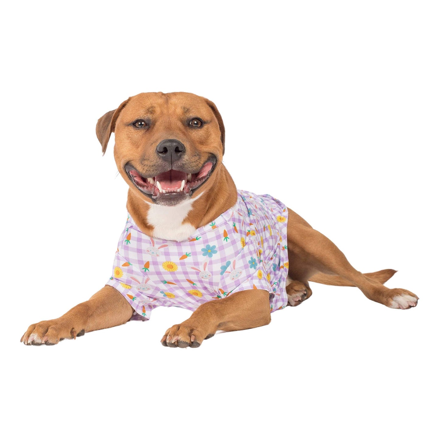 Hoppy Easter Dog Shirt
