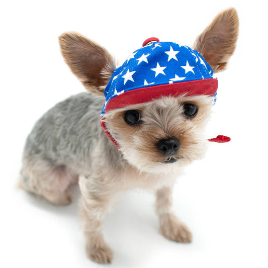 Star Dog Hat