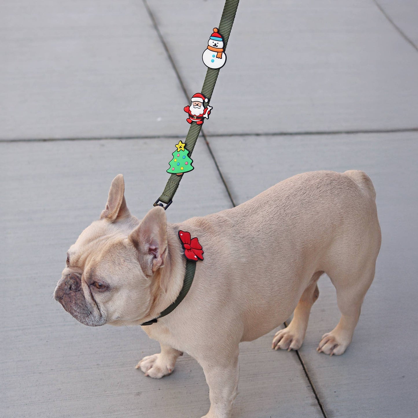 Santa Claus Dog Jiby