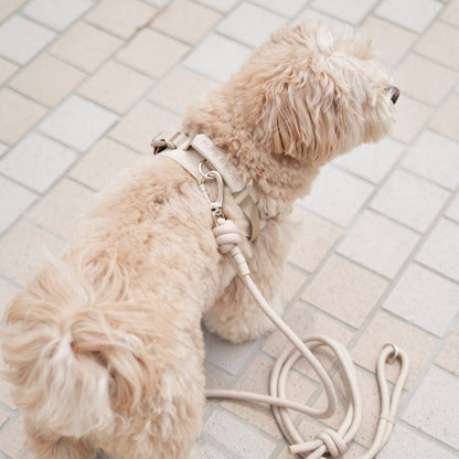Rover Dog Harness