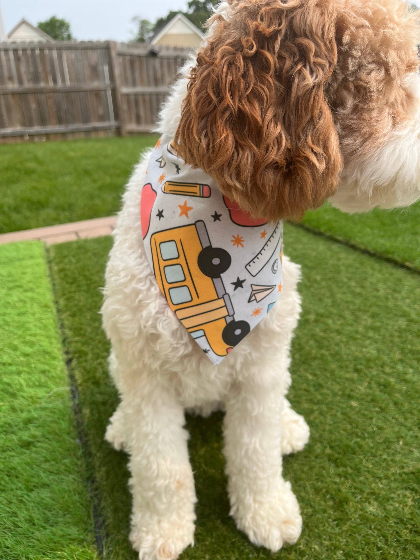 Back to School Dog Bandana