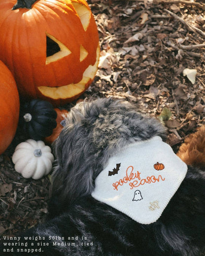 Knit Spooky Season Bandana