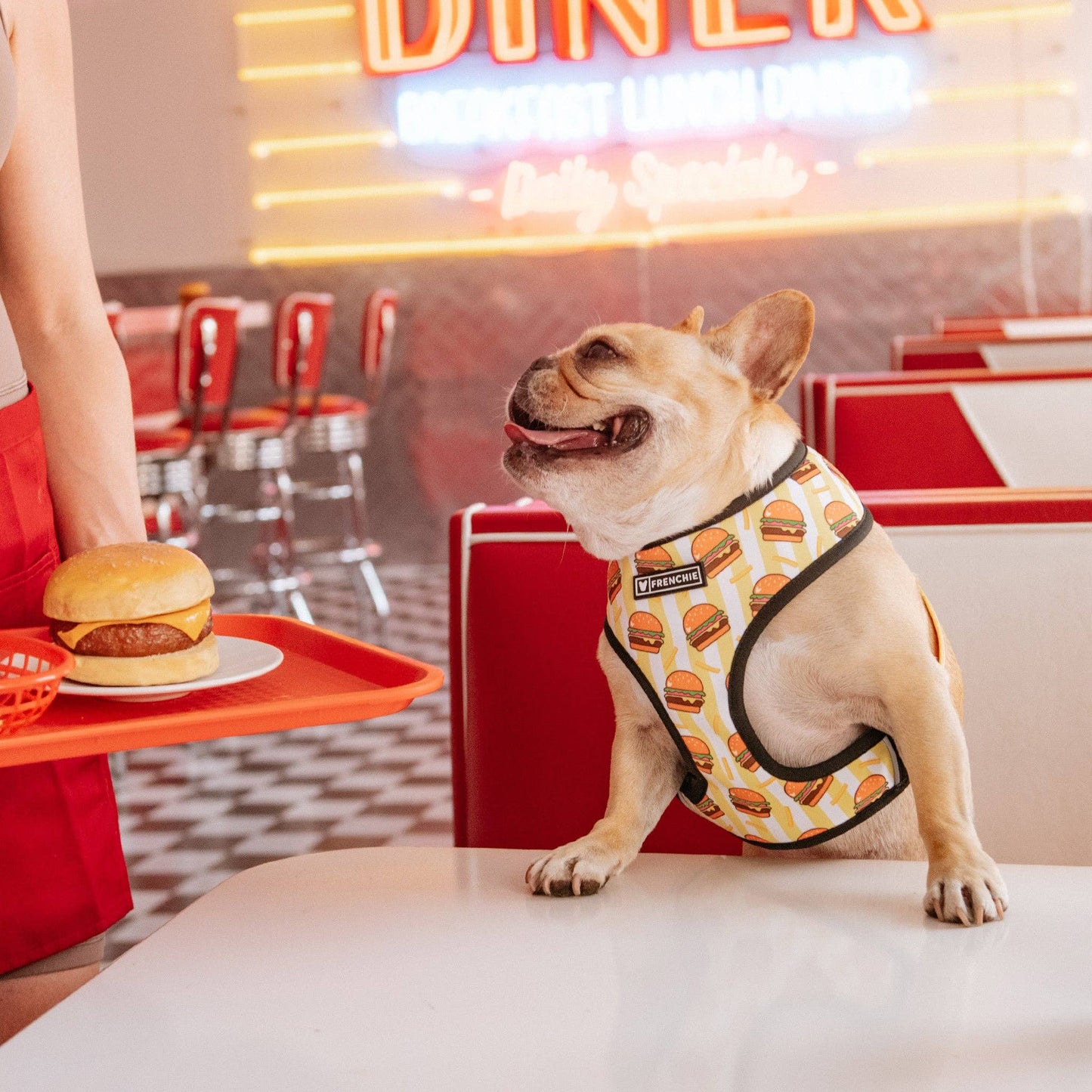 Frenchie Duo Reversible Harness - Burger N Fries