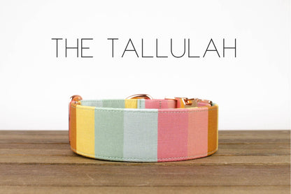 Tallulah Dog Collar