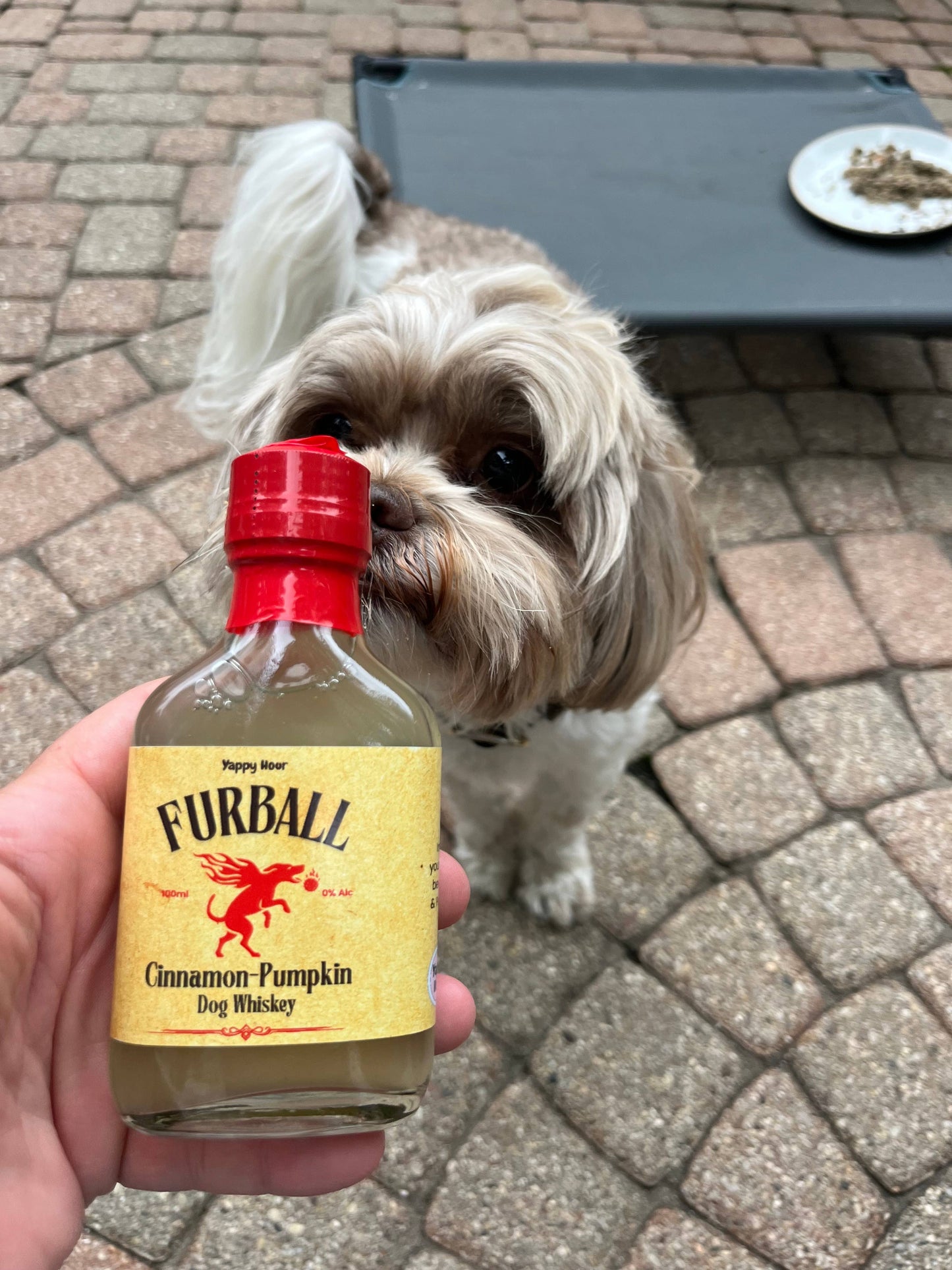 Furball Dog Whiskey Minis 100ml - Pumpkin-Cinnamon
