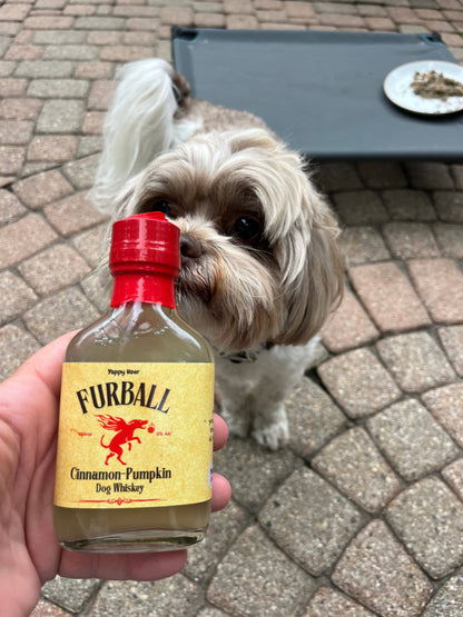 Furball Dog Whiskey Minis 100ml - Pumpkin-Cinnamon