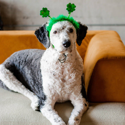 Midlee St. Patrick's Day Shamrock Dog Headband