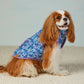 Mini Meadow Reversible Dog Jacket