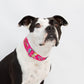 Super Pibble Dog Collar - Pink