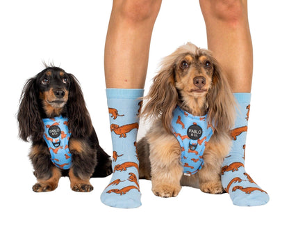 Arnés ajustable para perros Dachshund
