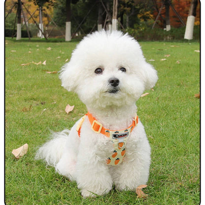 Small Dog Vest Harness with Leash