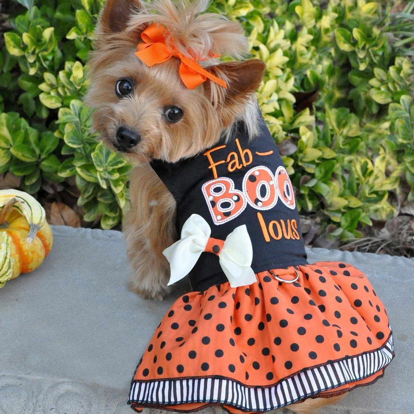 Vestido con arnés para perro para Halloween: Fab-BOO-lous