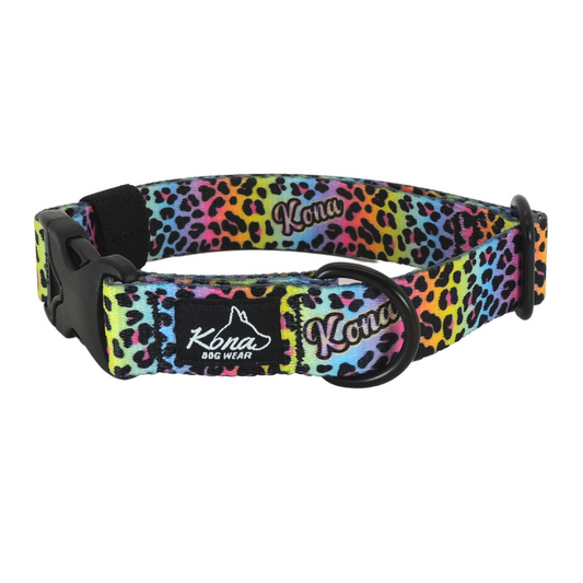 Frankalicious Buckle Dog Collar