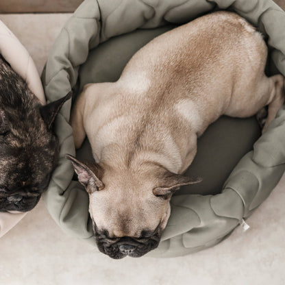 Cama para perros Taart - Colores variados