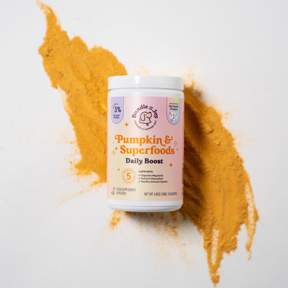 Pumpkin & Superfoods Daily Boost Powder | Digestive Support