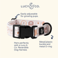 The Unbearably Cute Dog Collar