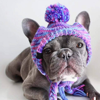 Gorro de punto con pompones para perro: morado y lavanda