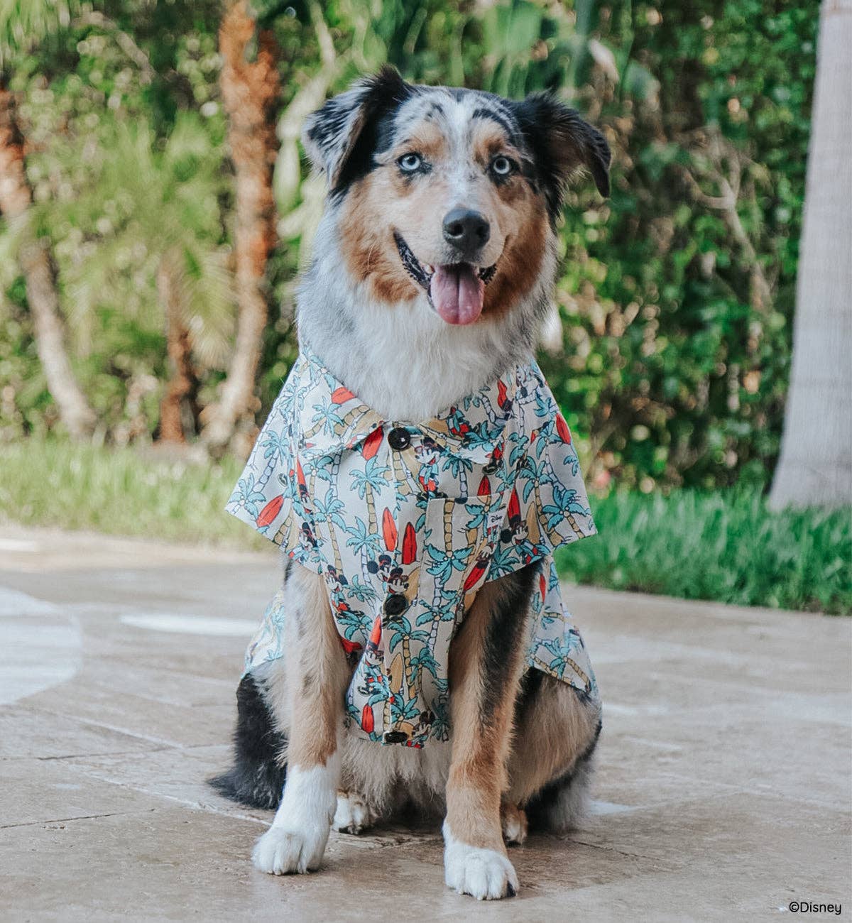 Mickey Mouse Dog Hawaiian Shirt