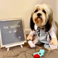 The Doctor Halloween Dog Costume