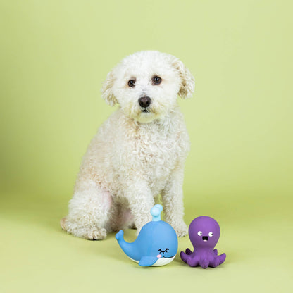 Happy to Sea You 2pc Latex Dog Toys