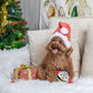 HugSmart Pet - Happy Woofmas Penguin - Dog Ball Toy