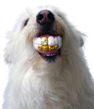 Humunga Bling Chew Toy for Dogs