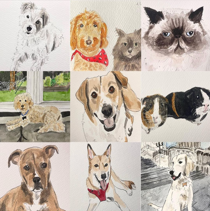 Custom Watercolor Pet Portrait - Assorted Sizes