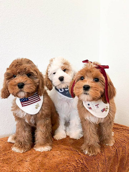 American Flag Dog Bandana