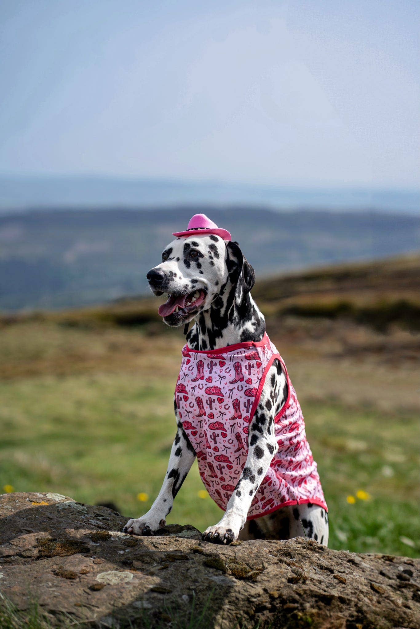The Giddy up Pup Cooling Shirt
