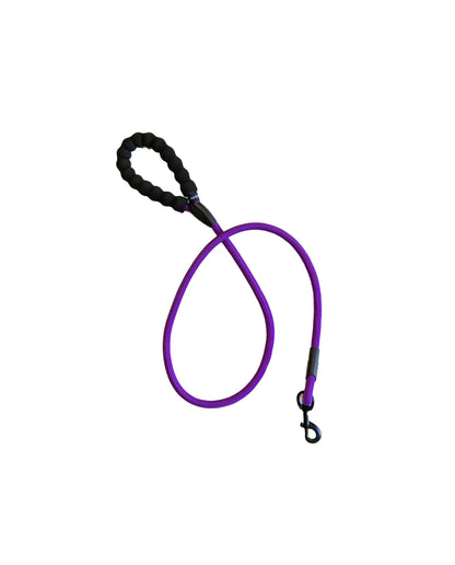 Rope Leash 4' - Assorted Colors