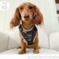 I Heart Dachshunds Adjustable Dog Harness