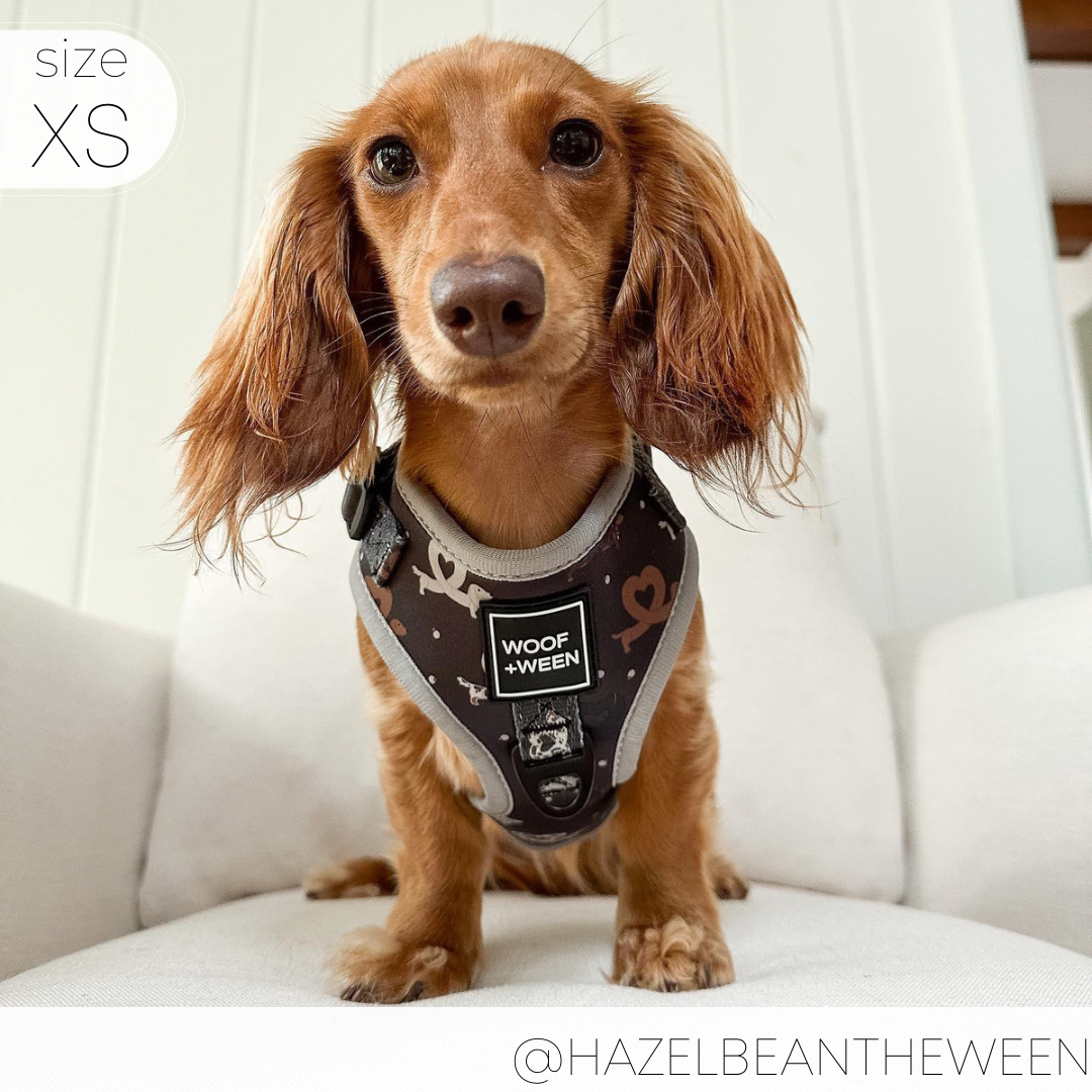 Arnés ajustable para perros I Heart Dachshunds