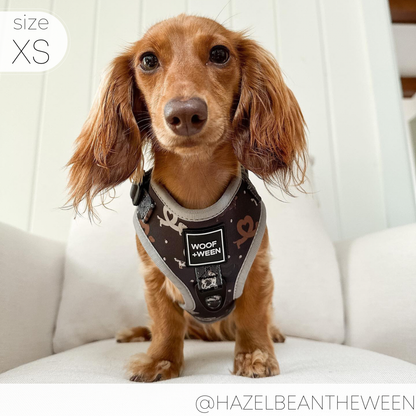 Adjustable Dog Harness - I Heart Dachshunds