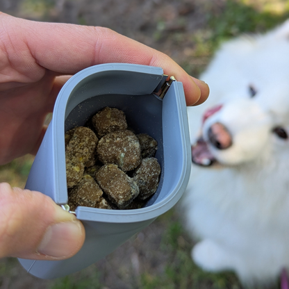 Up Dog One-Hand Training Treat Pouch