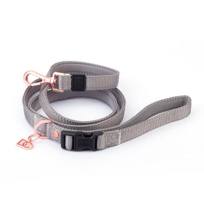 Secure-In-Place Dog Leash - Steel