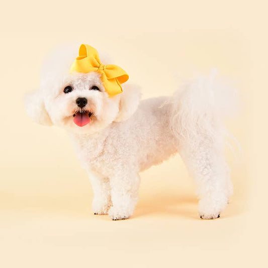 Princess Ribbon - Yellow