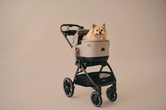 Tavo Maeve ISO WIND + Roscoe System