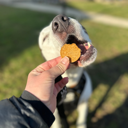 Fish Chips Dog Treats: Standard 4oz