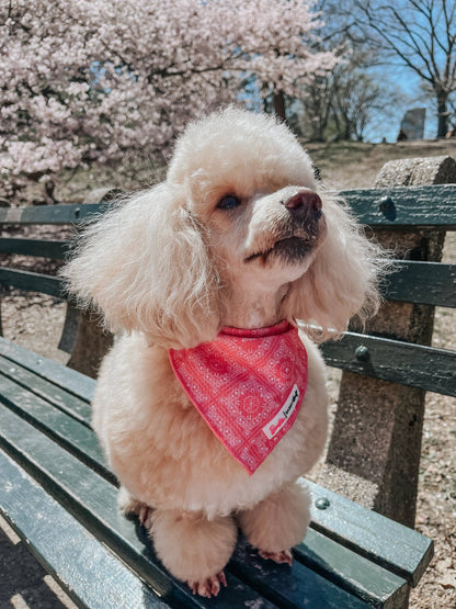 Western Barbie™ Dog Cooling Bandana